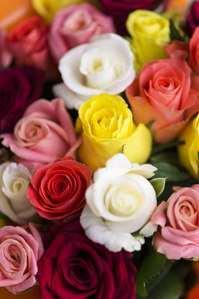 pozadí krásná kytice barevných červených, růžových, žlutých, bílých růží, dovolená - Fotografie, Obrázek