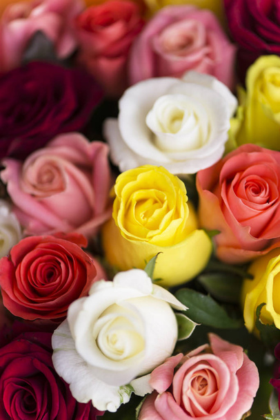 background beautiful bouquet of multicolored red, pink, yellow, white roses, holiday - Fotoğraf, Görsel