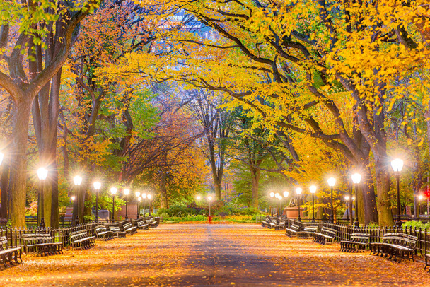 Central Park New York City herfst - Foto, afbeelding