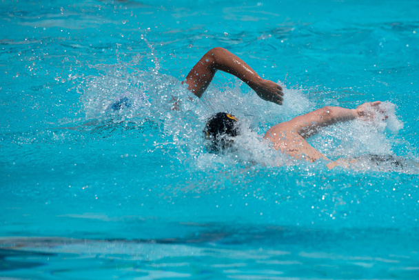 Bir yüzme havuzunda Freestyle yüzme sporcular - Fotoğraf, Görsel