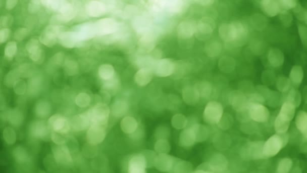 Defocused green abstract good for a nature or environmental background - Footage, Video