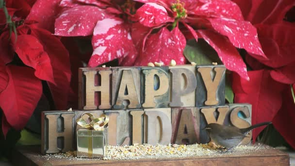 Een hongerige Wren tegen een achtergrond van Poinsettia en de woorden Happy Holidays - Video