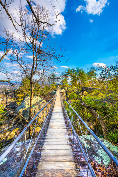 Рок-Сіті на оглядовому горі в Чаттануга, штат Теннессі, США - Фото, зображення