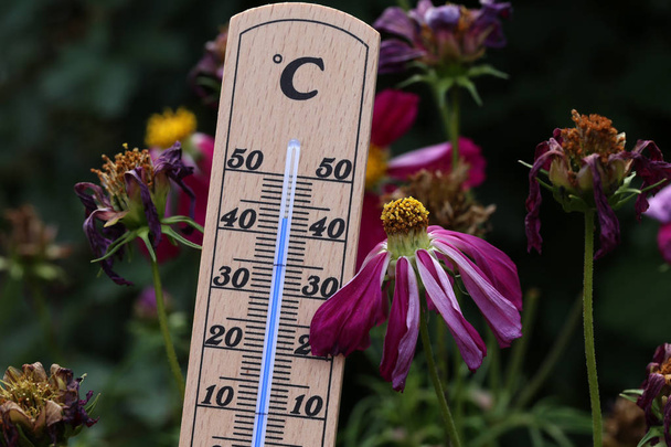 Hot summer - a thermometer shows high temperatures - Photo, image