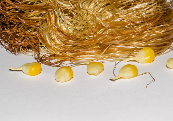 Stigmi di mais giallo maturo su sfondo ridotto per la progettazione
 - Foto, immagini