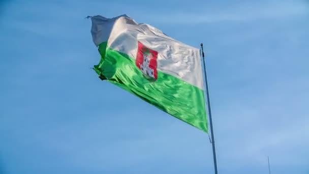Όμορφα αμφιταλαντευμένα πράσινο και λευκό σημαία με ένα σύμβολο του Δράκου και ένα κάστρο που εκπροσωπεί την πόλη της Λιουμπλιάνα, η πρωτεύουσα της Λιουμπλιάνα. - Πλάνα, βίντεο