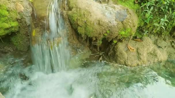 Vízáram fut a sziklák körül moha és növények, és alá egy kis tó. Vízrugó. Természeti szépségei a turisztikai város Bonito MS, Brazília. - Felvétel, videó