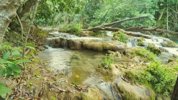 Каскади річки потопає навколо скель, оточених природою зеленого лісу. Природні краси туристичного міста Бонто мс, Бразилія. - Кадри, відео