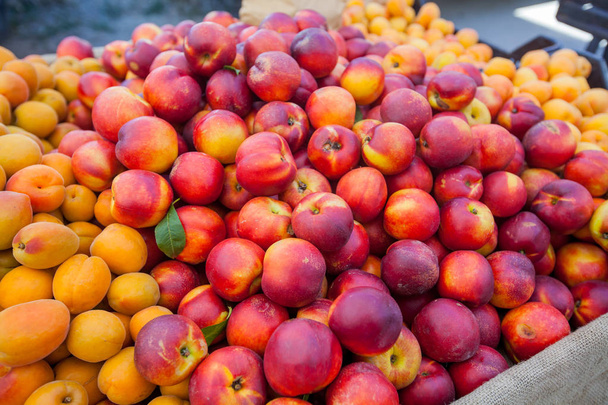 Nectarina fresca y albaricoque en el mercado local abierto de frutas
 - Foto, Imagen