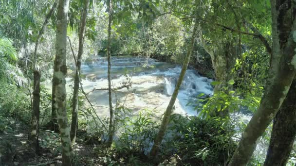 Невеликі каскади річки потопає навколо скель, оточених природою зеленого лісу. Природні краси туристичного міста Бонто мс, Бразилія. - Кадри, відео
