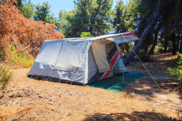 Camping tent op de wilde Camping rondom het dennenbos op zomerse zonnige daglicht - Foto, afbeelding