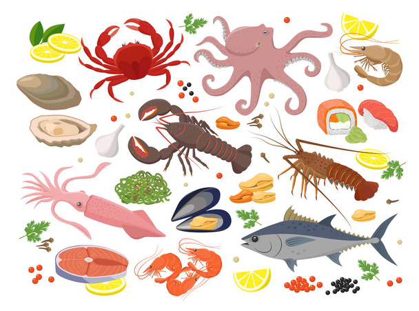 Seafood big collection of vector illustrations in flat design isolated on white background. Vector icon set of mussel, shrimp, squid, octopus, lobster, crab, mollusk, oyster, tuna fish, seaweed, roe. - Vektor, kép
