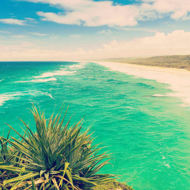 Australijska plaża filtrowane - Zdjęcie, obraz