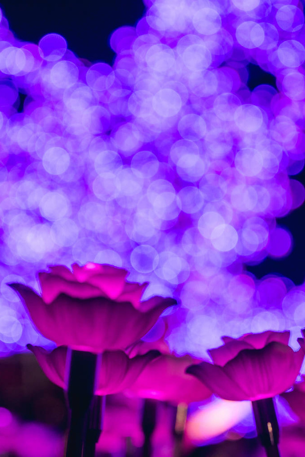 Τα φώτα είναι διακοσμημένα ως λουλούδια για να δημιουργήσουν όμορφο φως τη νύχτα στο Φεστιβάλ. - Φωτογραφία, εικόνα