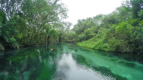 A folyó egy felhős napon, tiszta, átlátszó vízzel körülvett TimeLapse. Egyes halak a felszínen a víz, zöld növények körül. Táj Bonito MS, Brazília. - Felvétel, videó