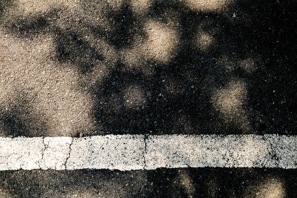 Foglie d'ombra sul parcheggio a pavimento vuoto, segnato con linee bianche
. - Foto, immagini