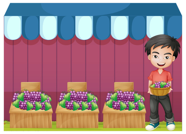 Um rapaz a vender uvas
 - Vetor, Imagem