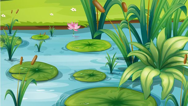 Egy tó, sok növény - Vektor, kép
