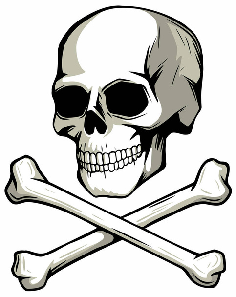 Human skull and crossed bones, vector image. - Διάνυσμα, εικόνα