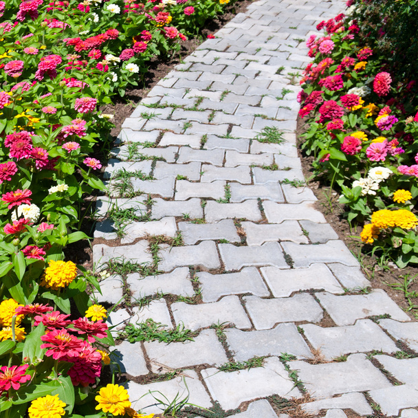 causeway and colorful flower bed - Фото, изображение