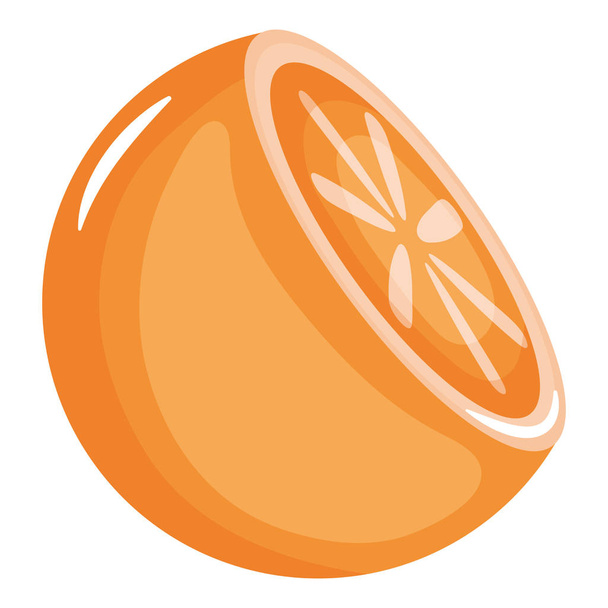fresh orange half citrus fruit - Vektori, kuva