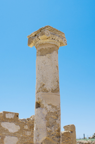 Fragment of an ancient column - 写真・画像