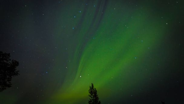 Verbazingwekkende Noorderlicht Aurora Borealis in Finalnd Nordic natuur landschap achtergrond. Zeer sterk Noorderlicht met bomen achtergrond. Aurora Borealis trekken elk jaar toeristen en natuurliefhebbers. - Foto, afbeelding