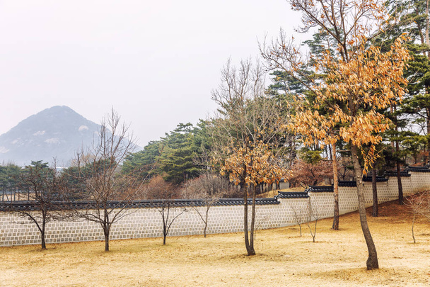 Winter Korean Park, beautiful landscape.  - Foto, immagini