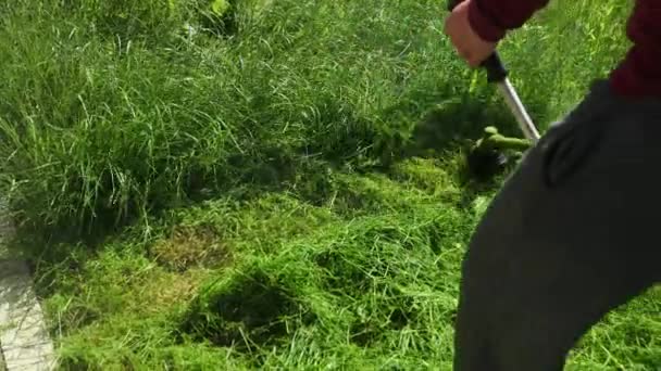 man is a gardener, cuts a high green grass, a gasoline mower, on a sunny day - Video