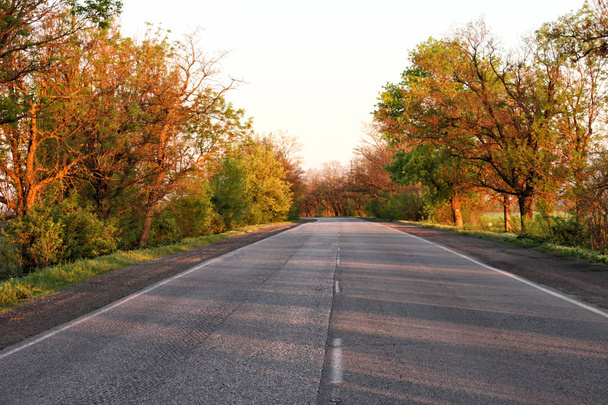 Camino de asfalto vacío en la mañana de primavera
 - Foto, imagen
