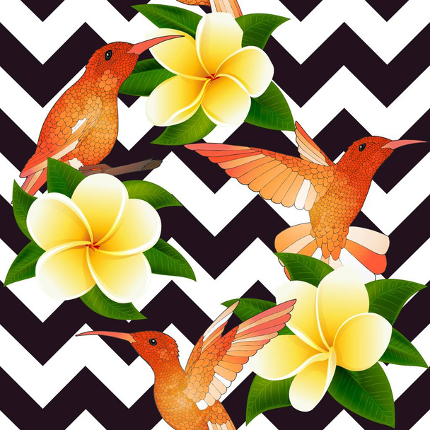 Tropical modern seamless pattern with Hummingbirds and flowers on geometry - Vector, Image