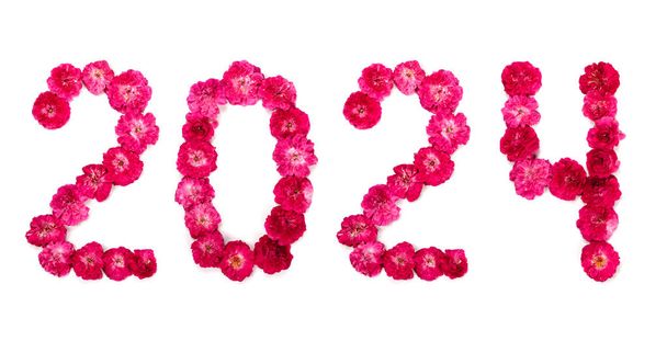 Napis 2024 od świeżego różowego i czerwonego różowego kwiecie na białym tle. Izolowanie, zbliżenie. Szczęśliwego nowego roku. - Zdjęcie, obraz