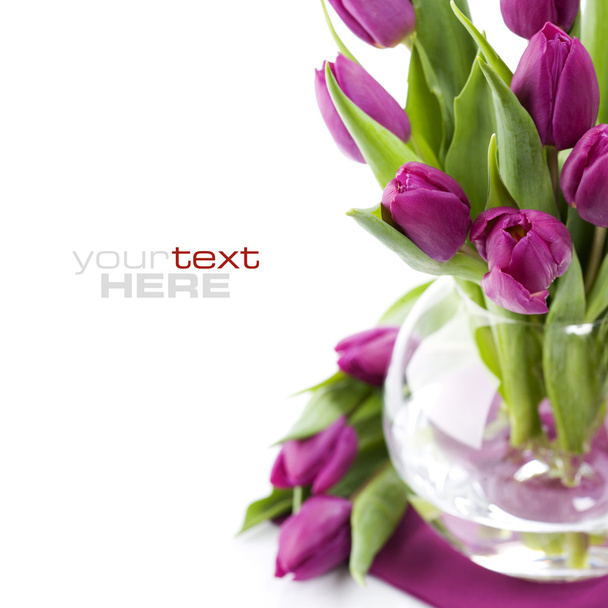 Fresh tulips - Foto, Imagen