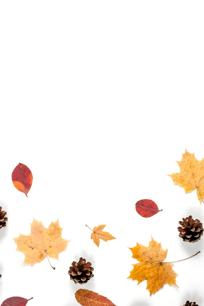秋の最小構成。乾燥した葉、白い背景にコーン。秋、秋、ハロウィーン、感謝祭のコンセプト。フラットレイ、トップビュー、コピースペース - 写真・画像