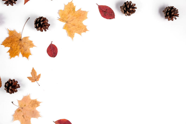 Autumn composition. Dried leaves, cones on white background. Autumn, fall, thanksgiving day concept. Creative Flat lay, top view, copy space - Fotó, kép