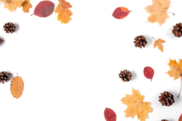 Herfst creatieve compositie. Gedroogde bladeren, kegels op witte achtergrond. Herfst, herfst, Halloween, Thanksgiving dag concept. Platte lay, bovenaanzicht, kopieer ruimte - Foto, afbeelding