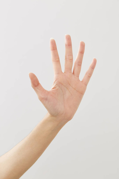 Main de femme signant bonjour sur blanc
 - Photo, image