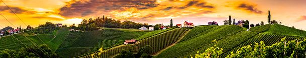 Panorama vinohradnických kopců v jižním Štýrsku - Fotografie, Obrázek