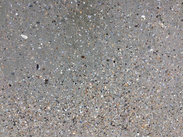 Shells in the sand on the beach background. Beach texture. - Fotografie, Obrázek