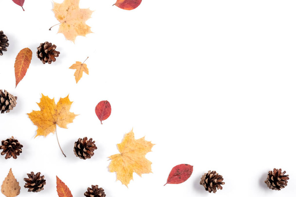 Autumn composition. Dried leaves, cones on white background. Autumn, fall, thanksgiving day concept. Creative Flat lay, top view, copy space - Foto, afbeelding