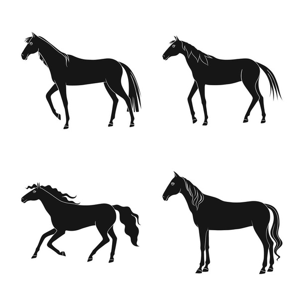 Vector design of fauna and mare symbol. Set of fauna and stallion vector icon for stock. - Vector, afbeelding