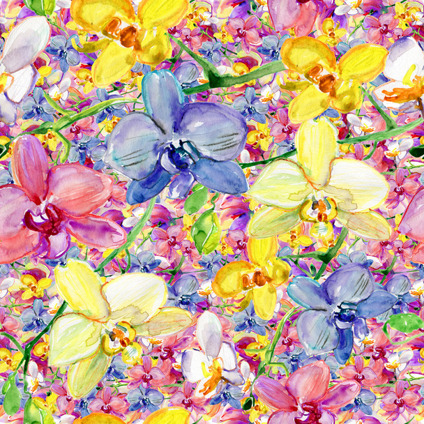 Akvarell, kézzel festett háttérrel, orchideák - Fotó, kép