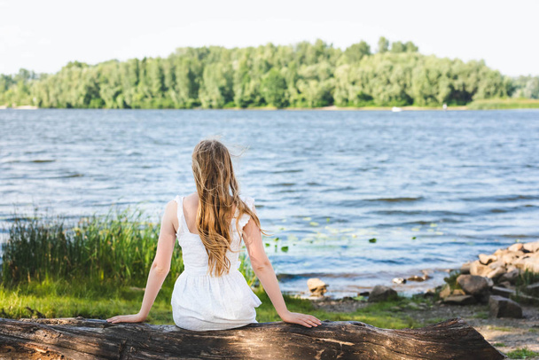 back view of girl sitting on trunk of tree on river shore and looking away - Foto, Imagen