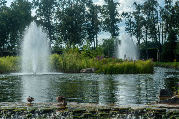 Fountain in lake with ducks in Mezhyhirya National Park, village of New Petrovtsy Vyshgorodsky district of Kiev region - Photo, Image