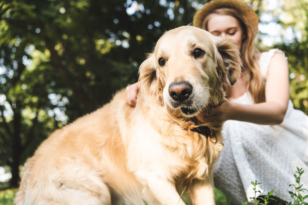 selective focus of girl in white dress and straw hat petting golden retriever while sitting on meadow with closed eyes  - Photo, Image