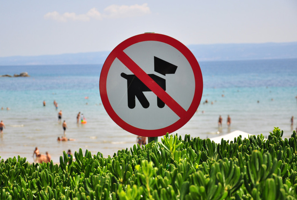 No Dogs at the beach - Foto, afbeelding