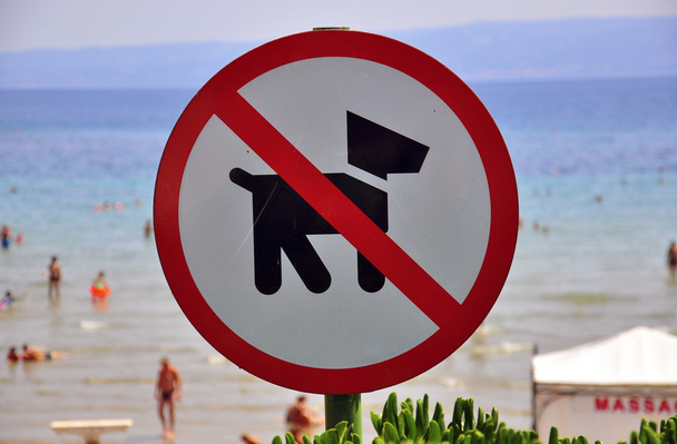 No Dogs Allowed - Foto, afbeelding