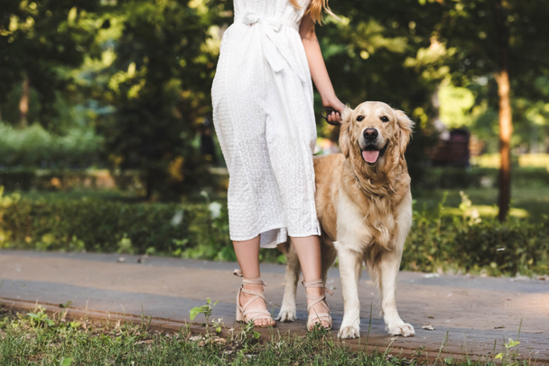 cropped view of girl in white dress walking with golden retriever  - Фото, зображення