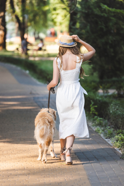 back view of girl in white dress and straw hat walking with golden retriever on pathway  - Zdjęcie, obraz
