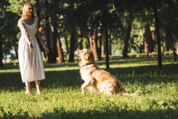 full length view of beautiful girl in white dress playing with golden retriever on meadow - Фото, изображение